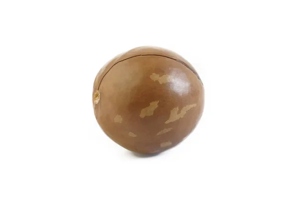 Noce Macadamia Sfondo Bianco — Foto Stock