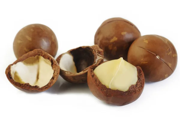 Macadamia Noten Witte Achtergrond — Stockfoto