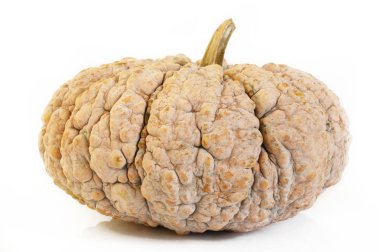 Olgun balkabağı beyaz arkaplanda izole