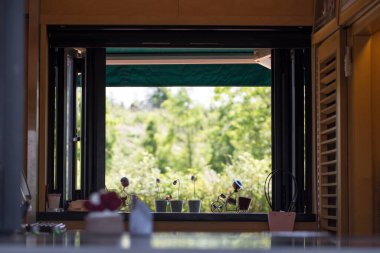 yeşil görünüm bir kafenin içinden açık pencerenin içinden görülüyor.