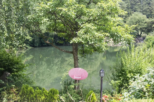 Forest green lake park water summer landscape.