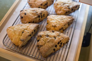 Beyaz bir tabağa dizilmiş çikolatalı çörekler.