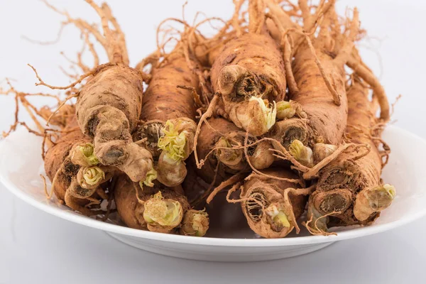 Färska Ginseng Rötter Isolerade Vit Bakgrund — Stockfoto