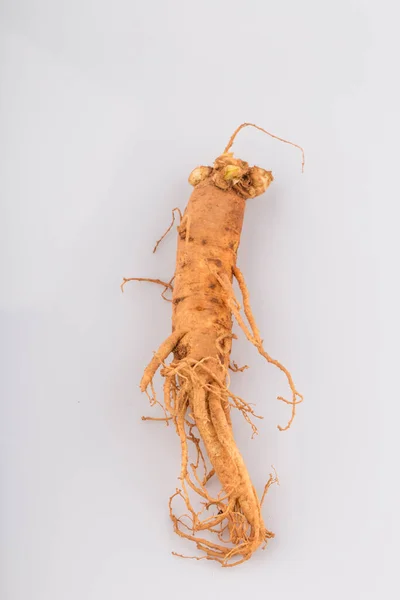 Beyaz arkaplanda izole edilmiş taze ginseng kökleri