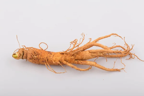 Beyaz arkaplanda izole edilmiş taze ginseng kökleri