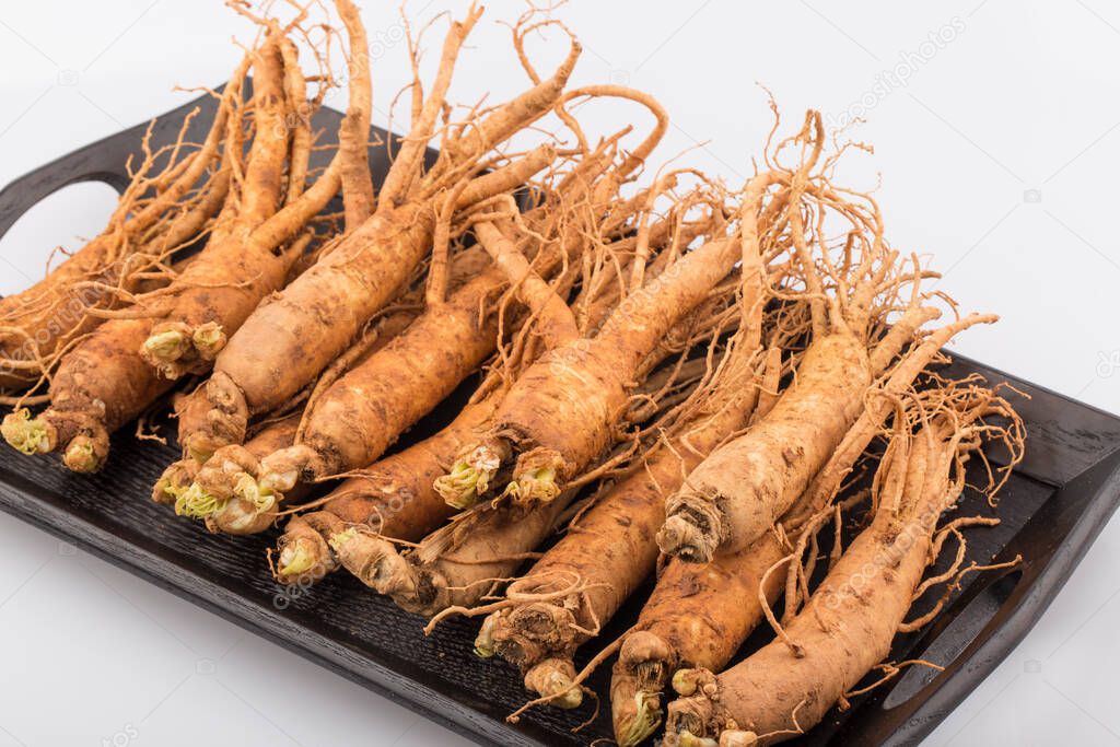 Fresh ginseng roots isolated on white background