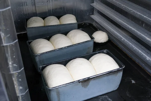 Masa de pan en una sartén antes de hornear. — Foto de Stock