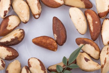 Brezilya fındıkları beyaz arkaplanda izole edilmiş.