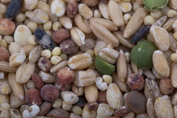 Varios Cereales Semillas Frijoles Granos Sobre Fondo Blanco — Foto de Stock