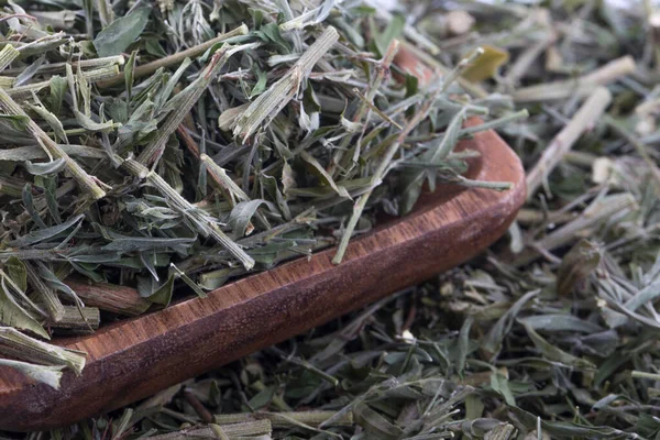 Lespedeza cuneata, Kore doğu tıbbında üretildi.