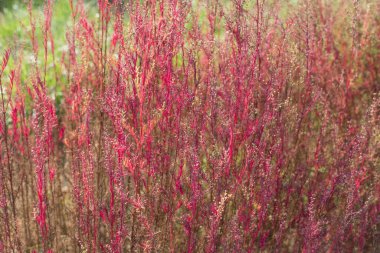 Parktaki deniz baskınını kapat.