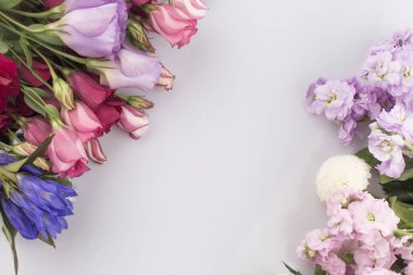 Beyaz arka planda pembe ve menekşe çiçekleri.