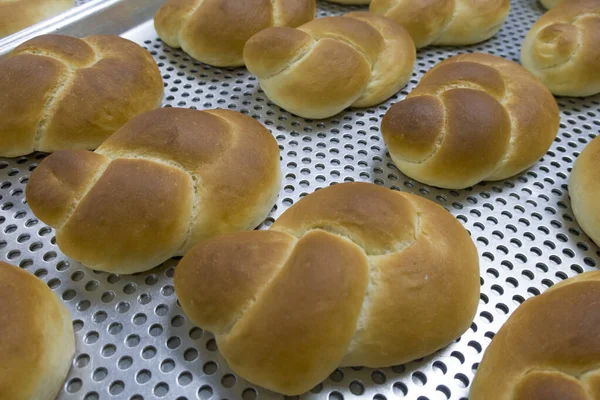 Πολλά Ζεστά Μόλις Ψημένο Ψωμί Μια Σχάρα — Φωτογραφία Αρχείου