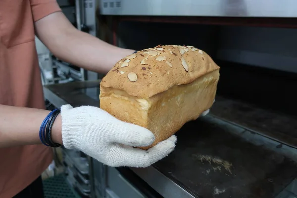 Πολλά Ζεστά Μόλις Ψημένο Ψωμί Μια Σχάρα — Φωτογραφία Αρχείου