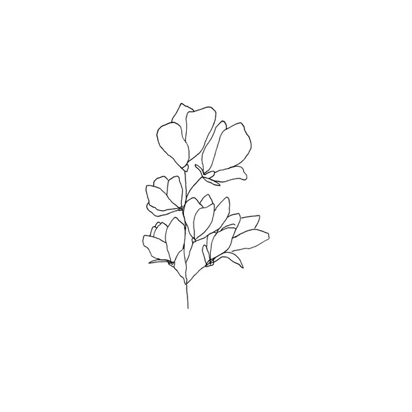 Jednoduchá Čistá Ruka Kreslené Květinové Skica Styl Botanické Ilustrace Skvělé — Stockový vektor