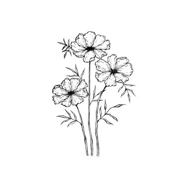 Basit ve temiz bir el çizimi. Çizim stili botanik çizim. Davetiye, tebrik kartı, paket, paket vs. için harika. 