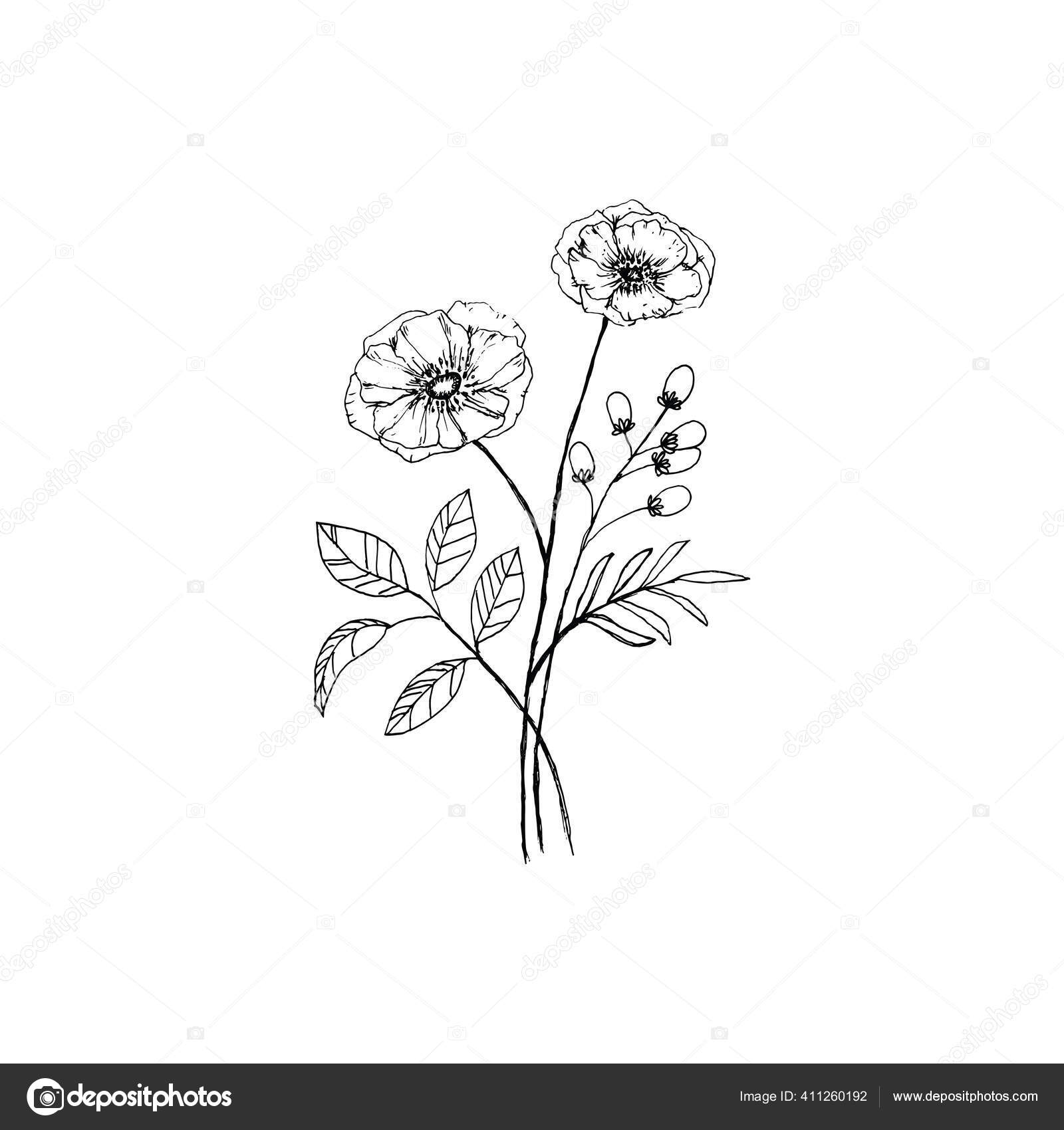 Flower Drawings  Spring 2019  Katrina Crouch  Blushed Design