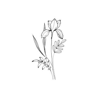 Basit ve temiz bir el çizimi. Çizim stili botanik çizim. Davetiye, tebrik kartı, paket, paket vs. için harika. 
