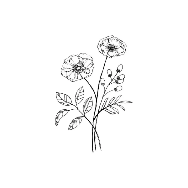 Einfache Und Saubere Hand Gezeichnet Blumig Botanische Illustration Skizzenstil Ideal — Stockvektor