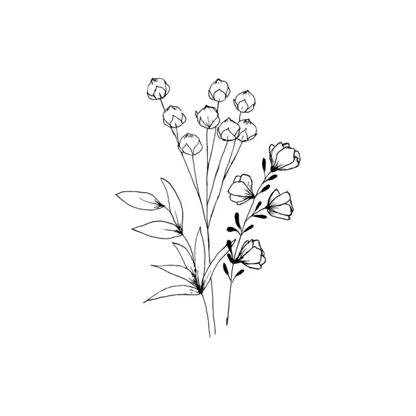 Simple Limpio Dibujado Mano Floral Ilustración Botánica Estilo Bosquejo Ideal — Archivo Imágenes Vectoriales