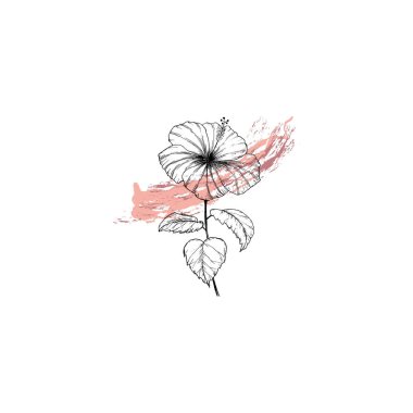 Basit ve temiz bir el çizimi. Çizim stili botanik çizim. Davetiye, tebrik kartı, paket, paket vs. için harika. 