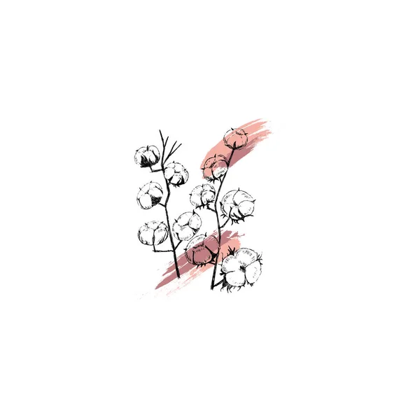 Simple Limpio Dibujado Mano Floral Ilustración Botánica Estilo Bosquejo Ideal — Vector de stock
