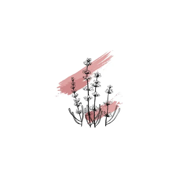 Egyszerű Tiszta Kézzel Rajzolt Virágos Sketch Stílusú Botanikai Illusztráció Nagy — Stock Vector