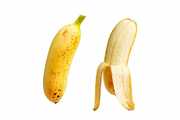 Pisang Mas Banana Fundo Branco — Fotografia de Stock