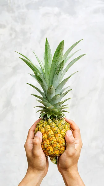 Man Holding Ripe Pineapple Gray Background — Stock Photo, Image