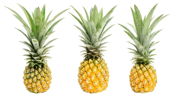 Reife Ananas Auf Weißem Hintergrund — Stockfoto