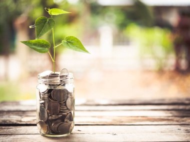Tasarruf para bitki yetiştirme - kavram yatırım ve finans dolu 