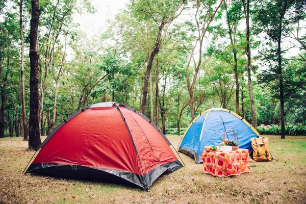 Camping Tenda Piquenique Acessórios Sob Árvore Amanhecer — Fotografia de Stock