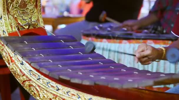Thai Classical Music Instrument Hands Hitting Thai Wooden Alto Xylophone — Stock Video