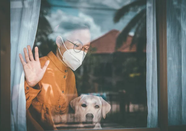 Asian girl wearing glasses, wearing a mask, with Labrador dog looking out the window, is bored of having to detain and treat the illness at home alone. Concept home quarantine, prevention COVID-19