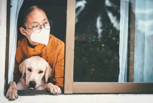 Asian girl wearing glasses, wearing a mask, with Labrador dog looking out the window, is bored of having to detain and treat the illness at home alone. Concept home quarantine, prevention COVID-19