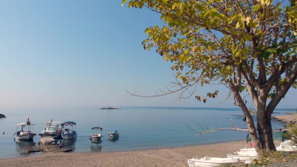 Impresionante playa mediterránea tranquila en Turquía con aguas cristalinas tranquilas — Vídeos de Stock