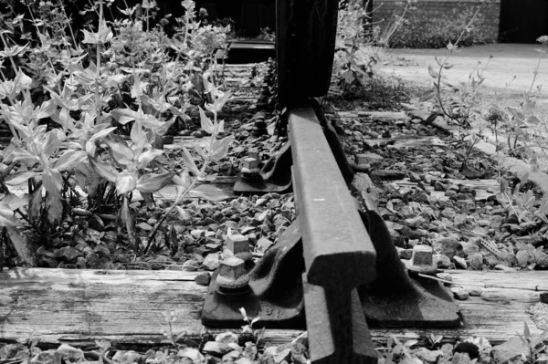 Rail Trucks Lying Idle Disused Railway Wales Barry Vale Glam — Stock fotografie