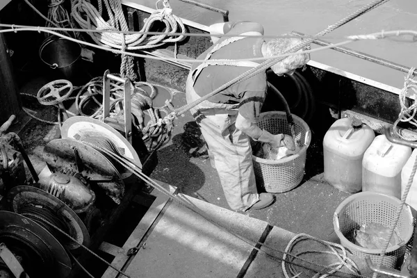 어선을 어부들이 카디프 바레이에 갑문을 들어오면서 어획물을 수위가 때까지 기다린다 — 스톡 사진