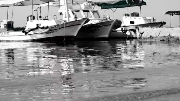 Barcos Pesca Madeira Mediterrânea Preto Branco Pesca Uma Parte Importante — Vídeo de Stock