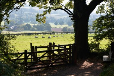 Galler 'in Abergavenny kasabasının güzel kırsalında. Galler 'in bu zengin ve verimli bölgesinde kırsal ve tarımsal alan. Doğadaki böyle bir güzellik ziyaretçiler için popüler bir seçim yapıyor..