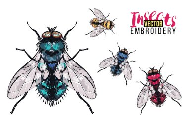 böcekler, vektör çizim ile beyaz arka plan