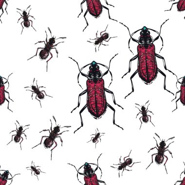 böcekler, vektör çizim ile beyaz arka plan