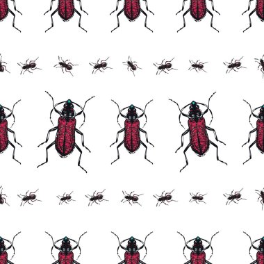 böcekler, vektör çizim ile beyaz arka plan