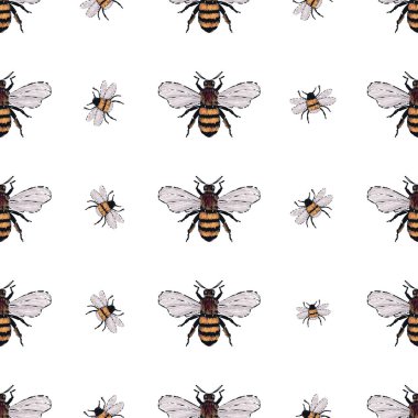 böcekler, vektör çizim ile beyaz arka plan