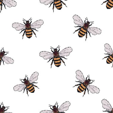 böcekler, vektör çizim ile beyaz arka plan