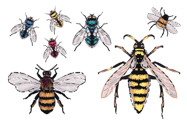 böcekler, vektör çizim ile beyaz arka plan