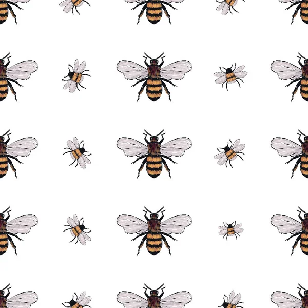 Fondo Blanco Con Insectos Ilustración Vectorial — Vector de stock