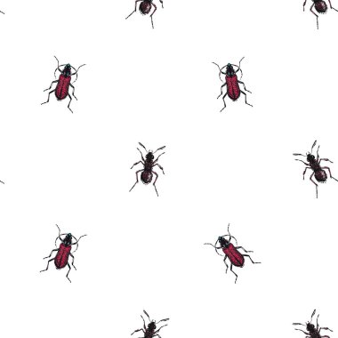 böcekler, vektör çizim ile beyaz arka plan