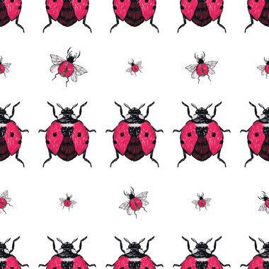 böcekler, vektör çizim ile beyaz arka plan