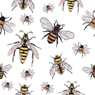 böcekler, vektör çizim ile beyaz arka plan